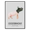 poster-oosterhout